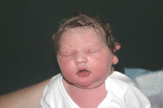 Sarah Elizabeth Joy Nichol