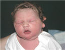 Sarah Elizabeth Joy Nichol